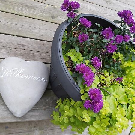 Strömstad Hallestrand Cottage Krabban المظهر الخارجي الصورة